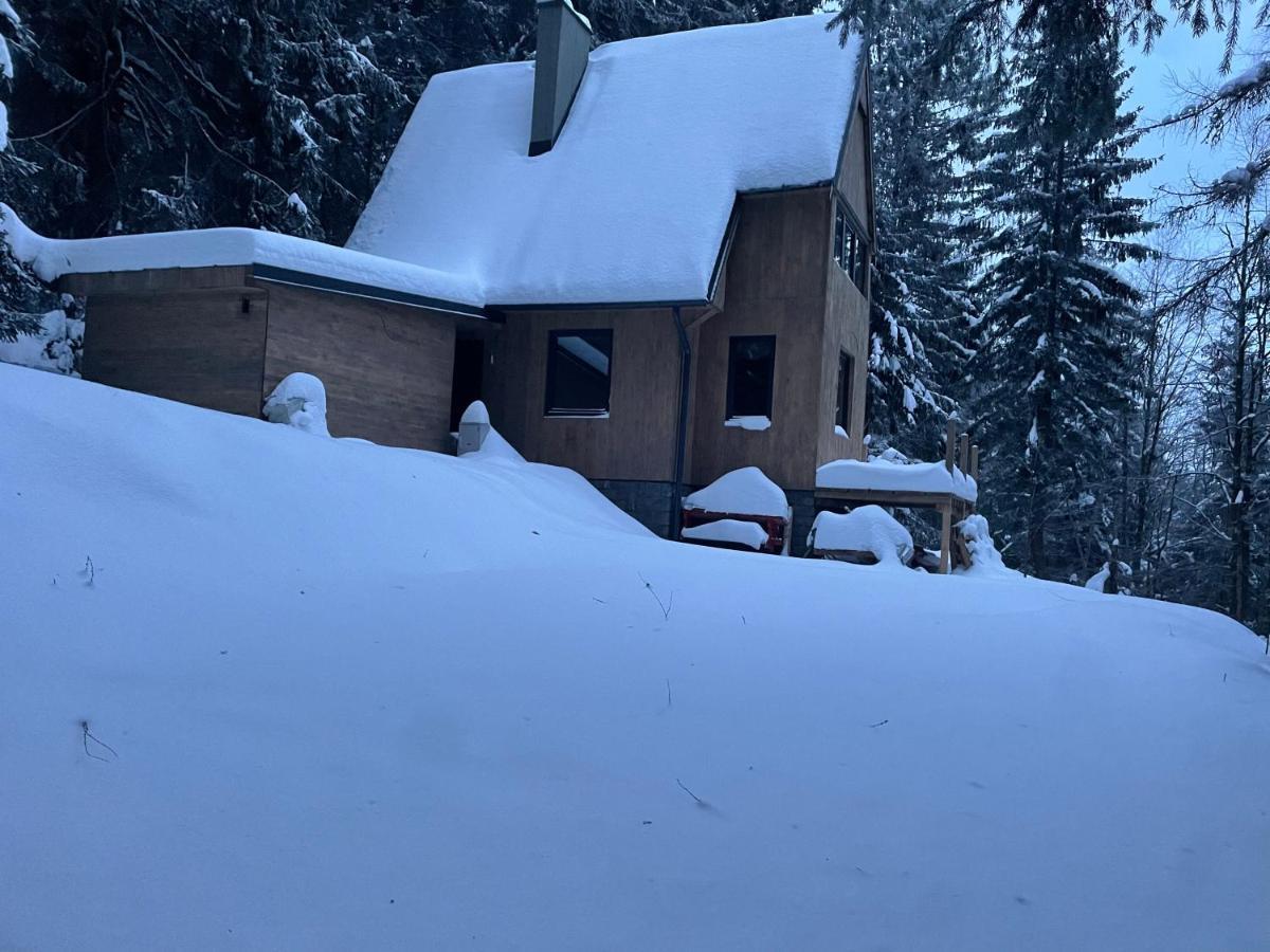 Chalet Fimili Vyšná Boca Exteriör bild
